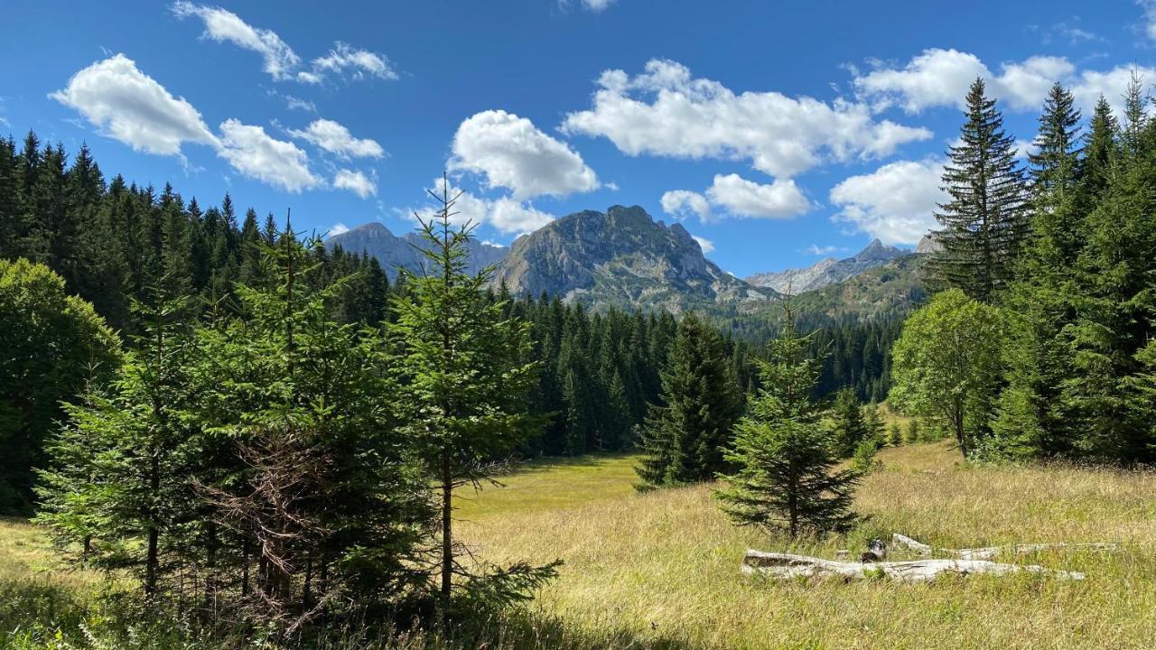 Vila Vista Pitomine Žabljak Exteriér fotografie
